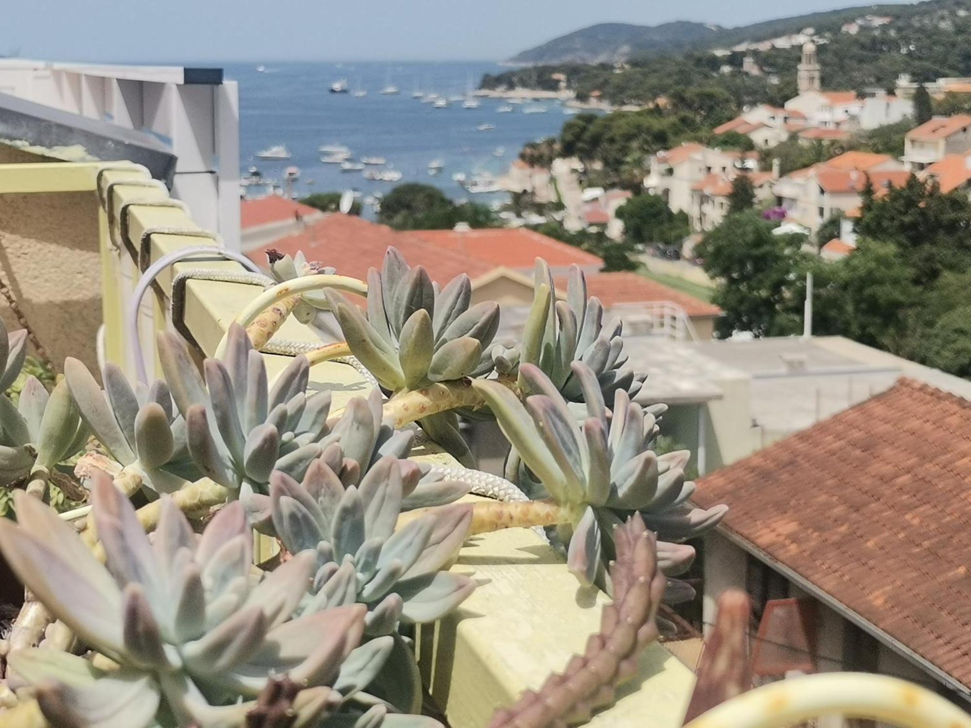 Apartments Green & Orange Hvar Town Exterior photo